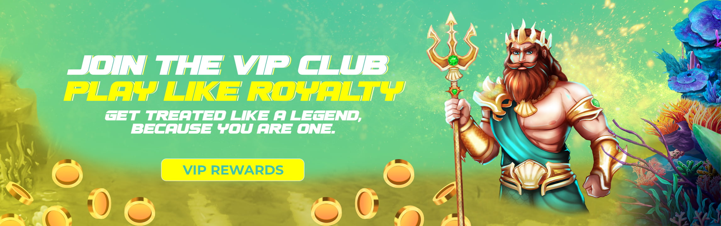 vip club banner